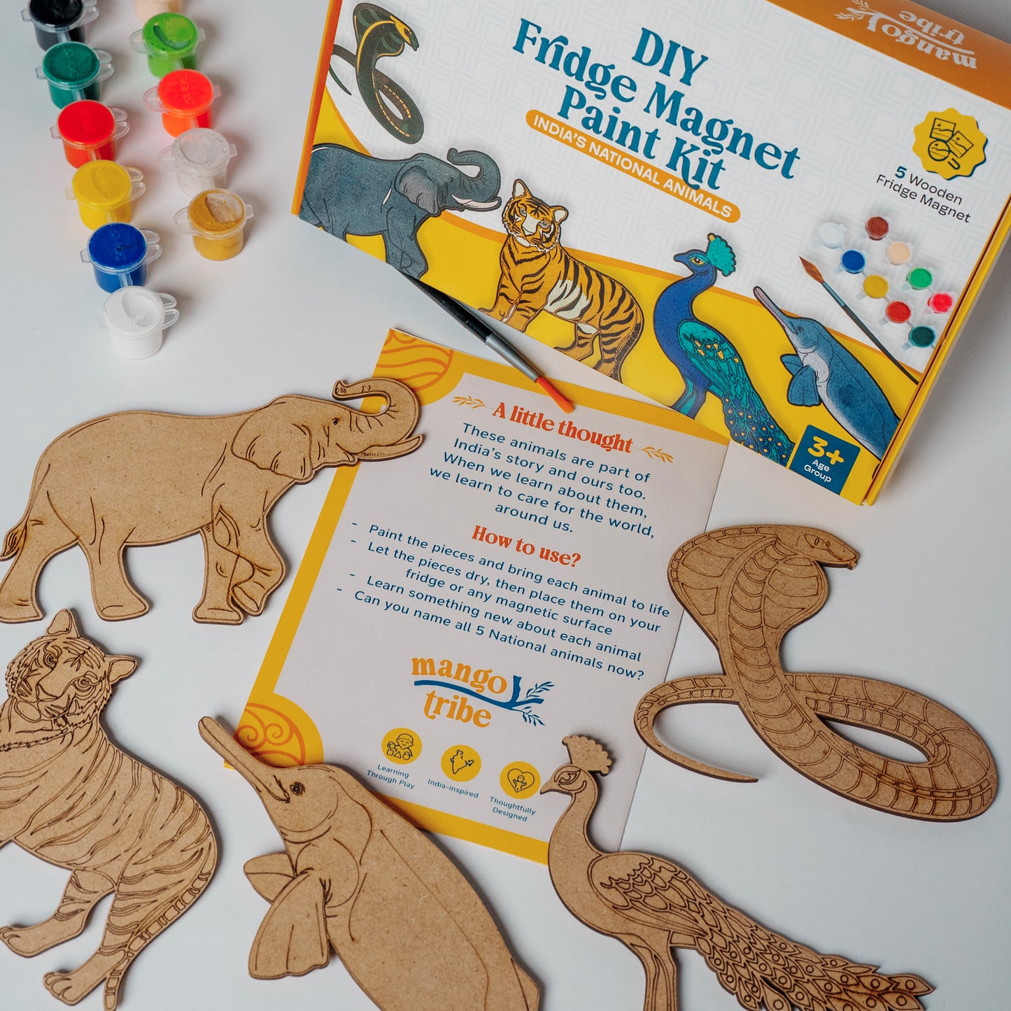 DIY Fridge Magnet Paint Kit